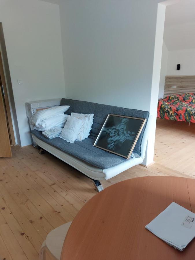 Apartma Sava-Stol Jesenice Exteriér fotografie