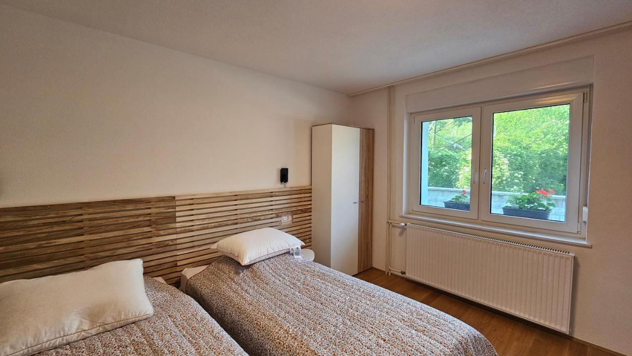 Apartma Sava-Stol Jesenice Exteriér fotografie